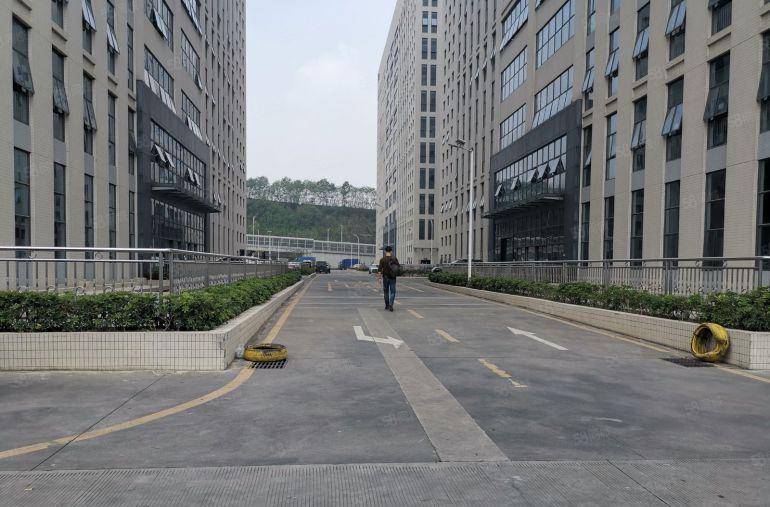 大浪100至2000平带精装修一楼厂房仓库办公室无尘车间出租