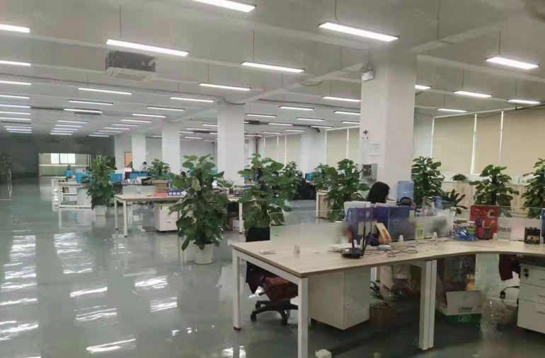 100平起租龙华明治精装修1000平厂房300平方办公室出租
