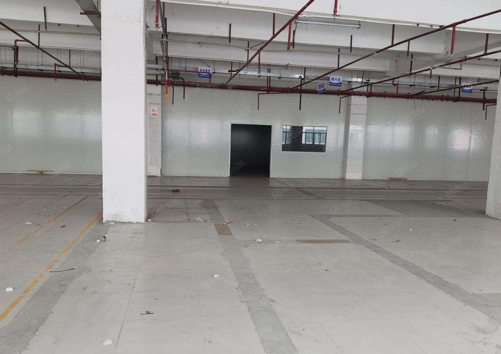 龙华大浪华宁路红本园区二楼1380平米出租形象好空地大好停车