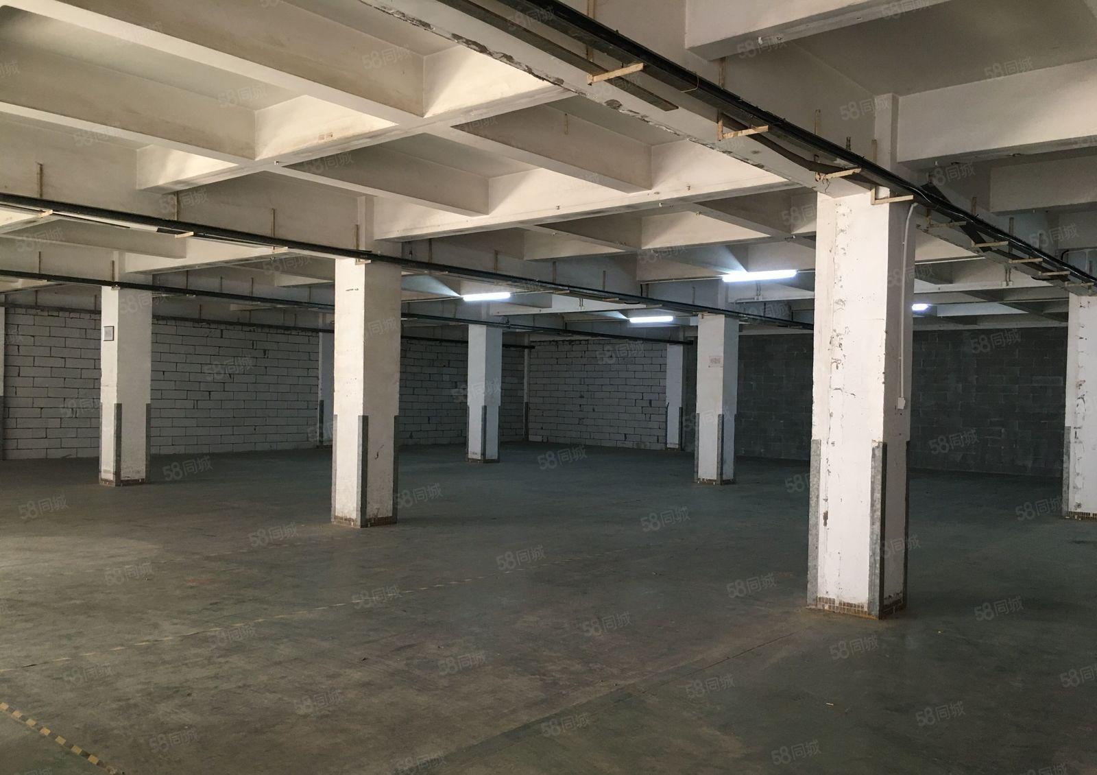 观澜章阁市场376平米一楼厂房仓库业主直租 价格实惠给钱就租