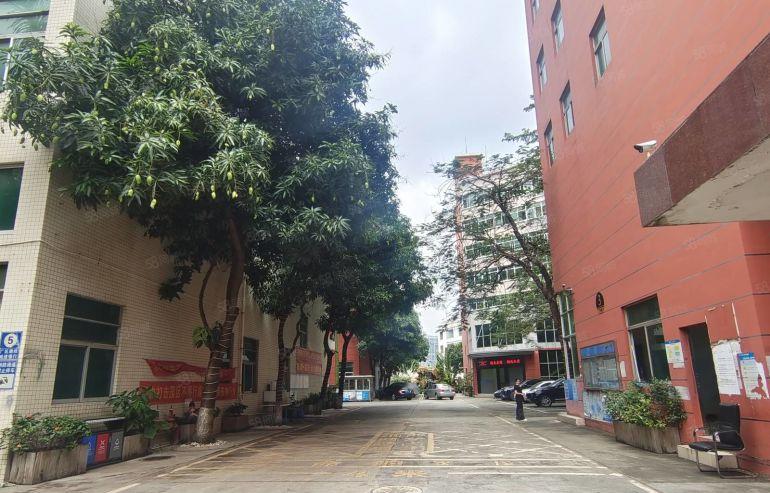 龙华大浪福龙路边原房东独院厂房出租3300平带装修拖头可进出