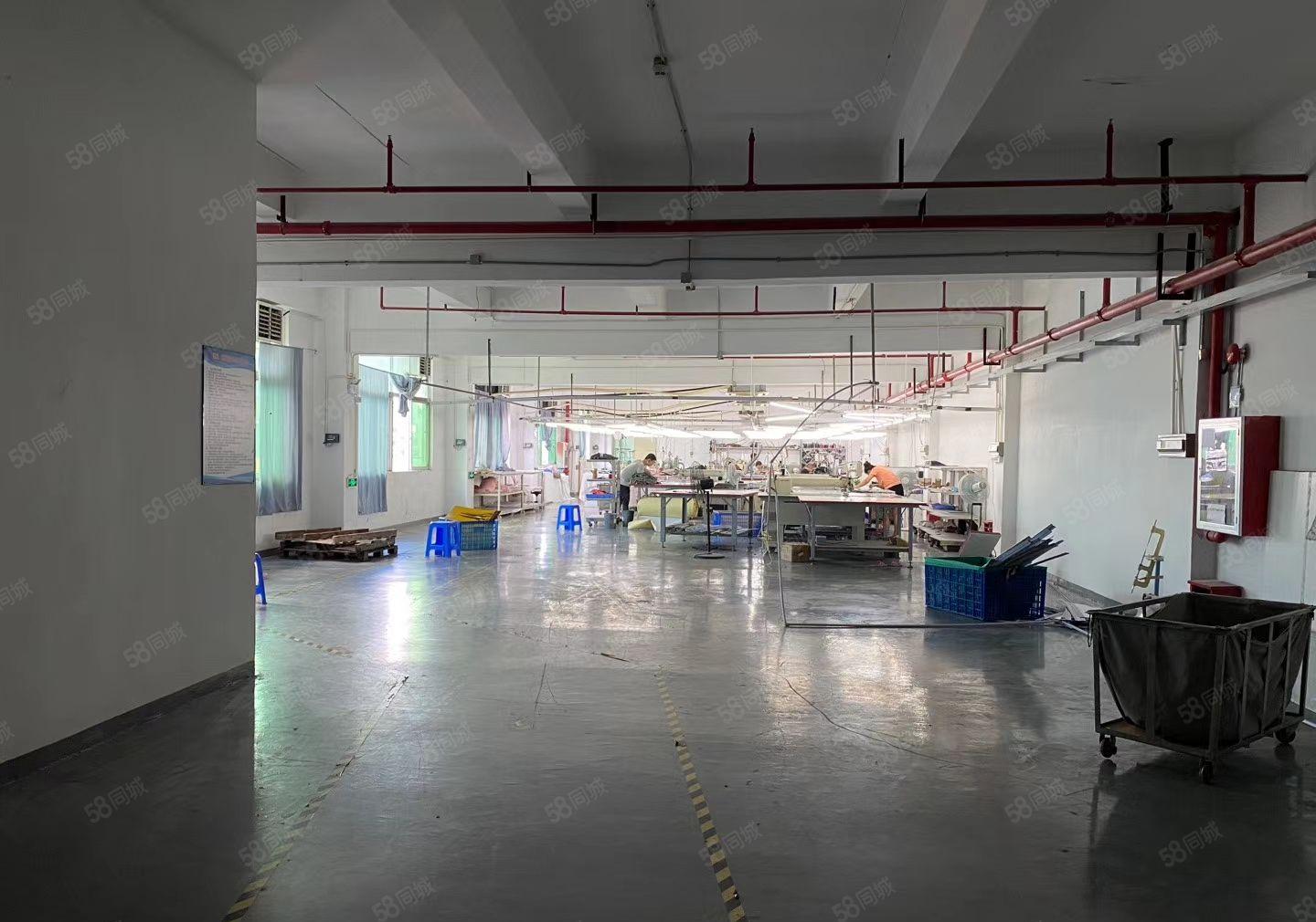 龙华清湖楼上1000平精装修厂房出租 500平可分租低价出租