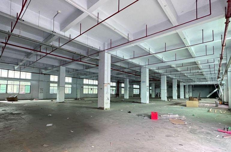 龙华民治地铁口原房东厂房一楼2500平高6米近高速口可进大车