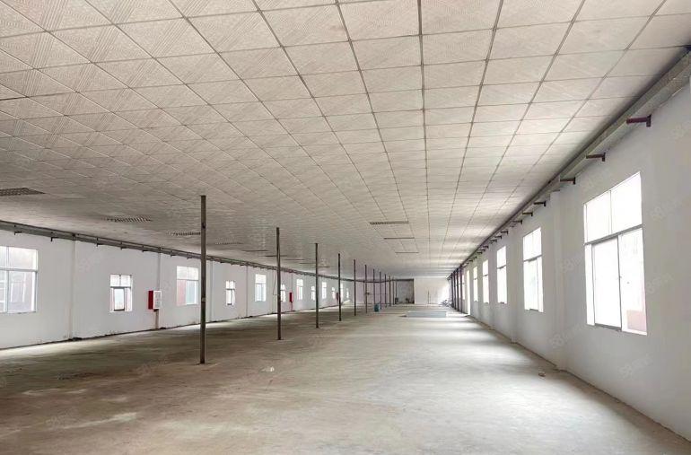 290平开始起租（1万）面积大小不等观澜牛湖钢构厂房出租