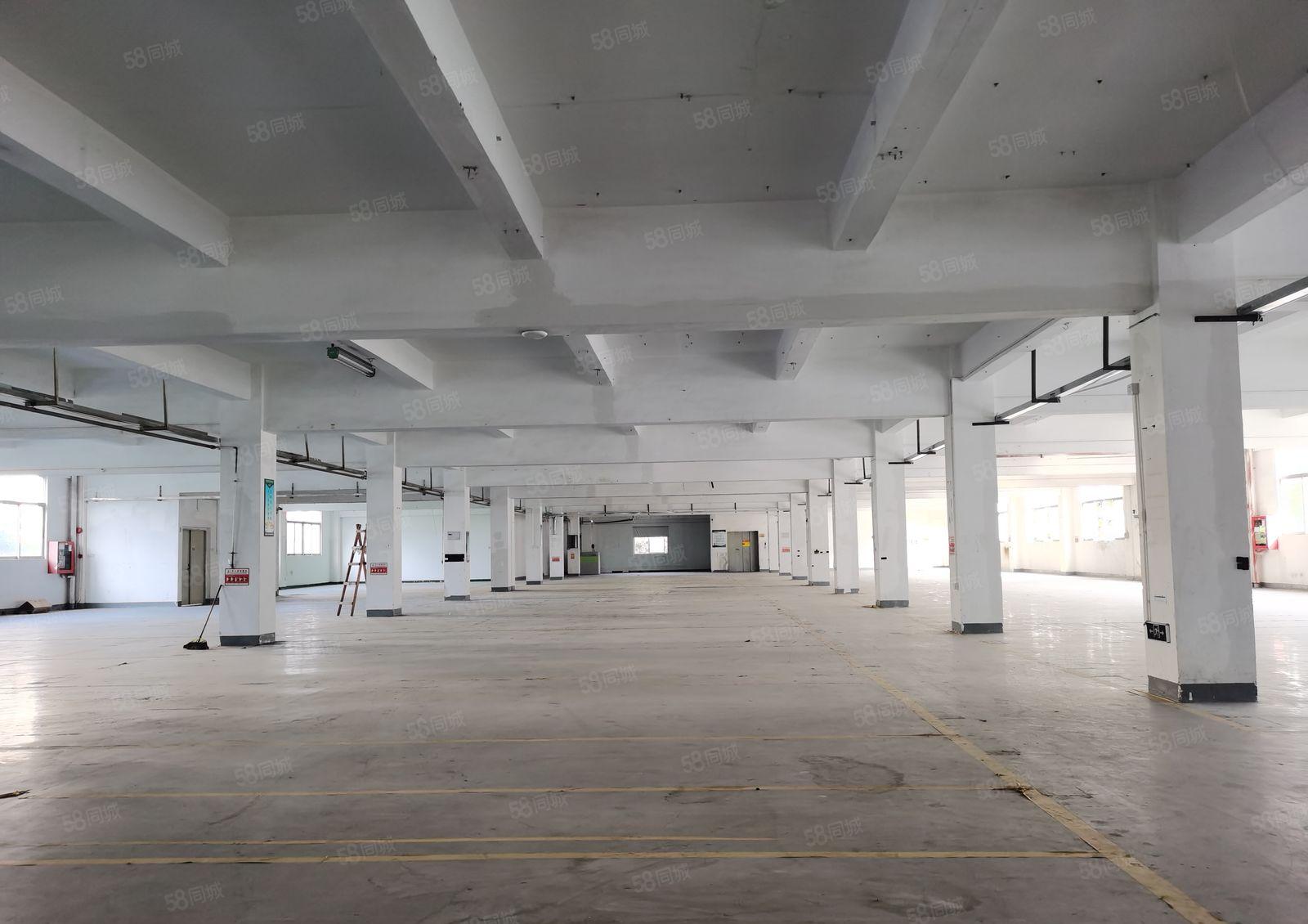 梅观高速出口独院厂房出租，面积1380平米现房出租