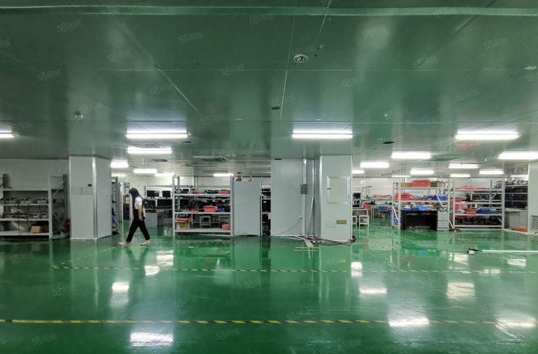 25元龙华大浪原房东1745平实际面积出租带精装修办公室仓库