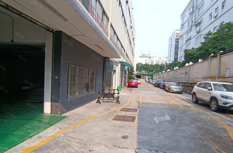 龙华油松一楼厂房仓库310平 全新地坪漆