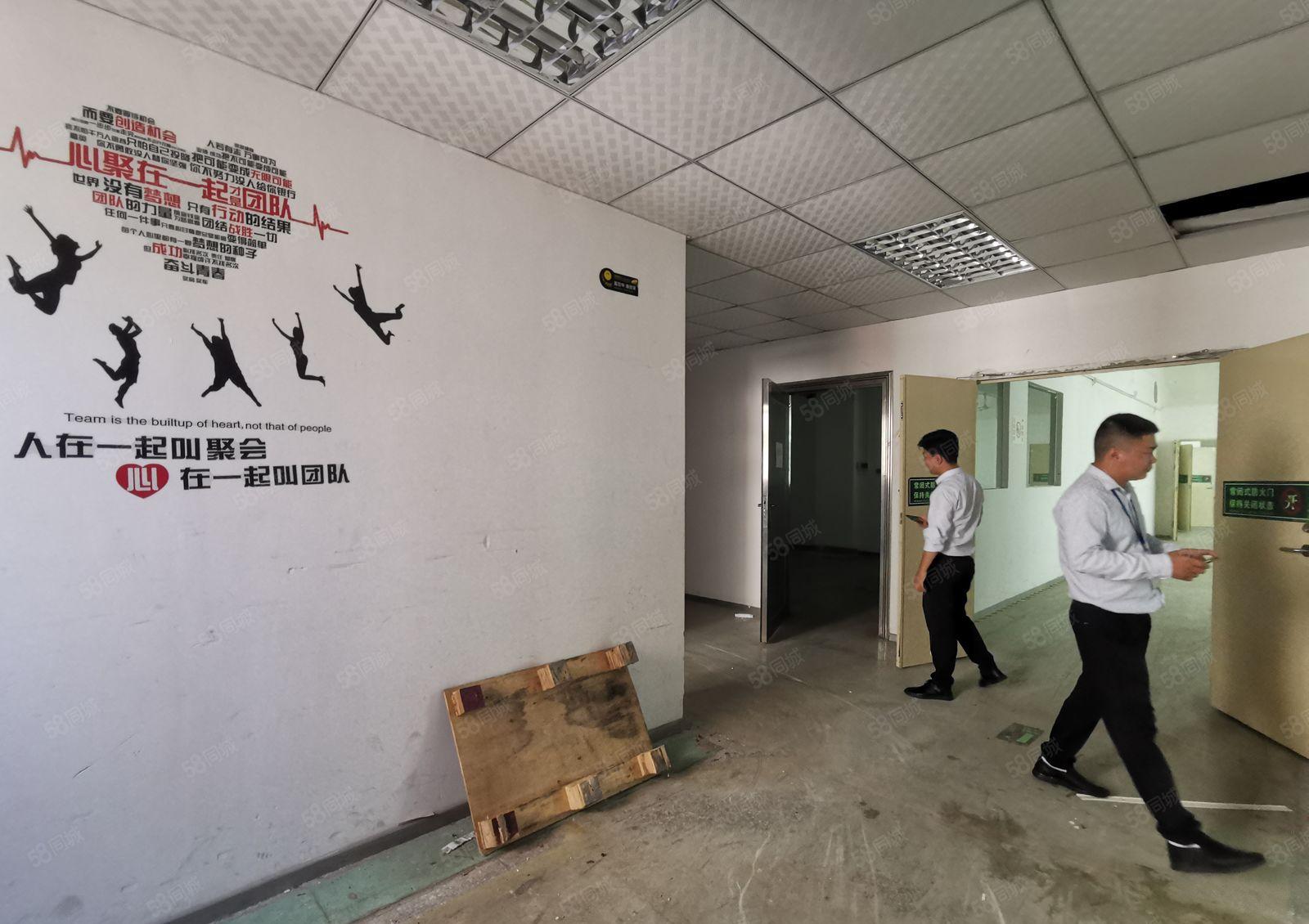 龙华大浪新百丽工业园1914平带精装修办公室仓库厂房出租分租