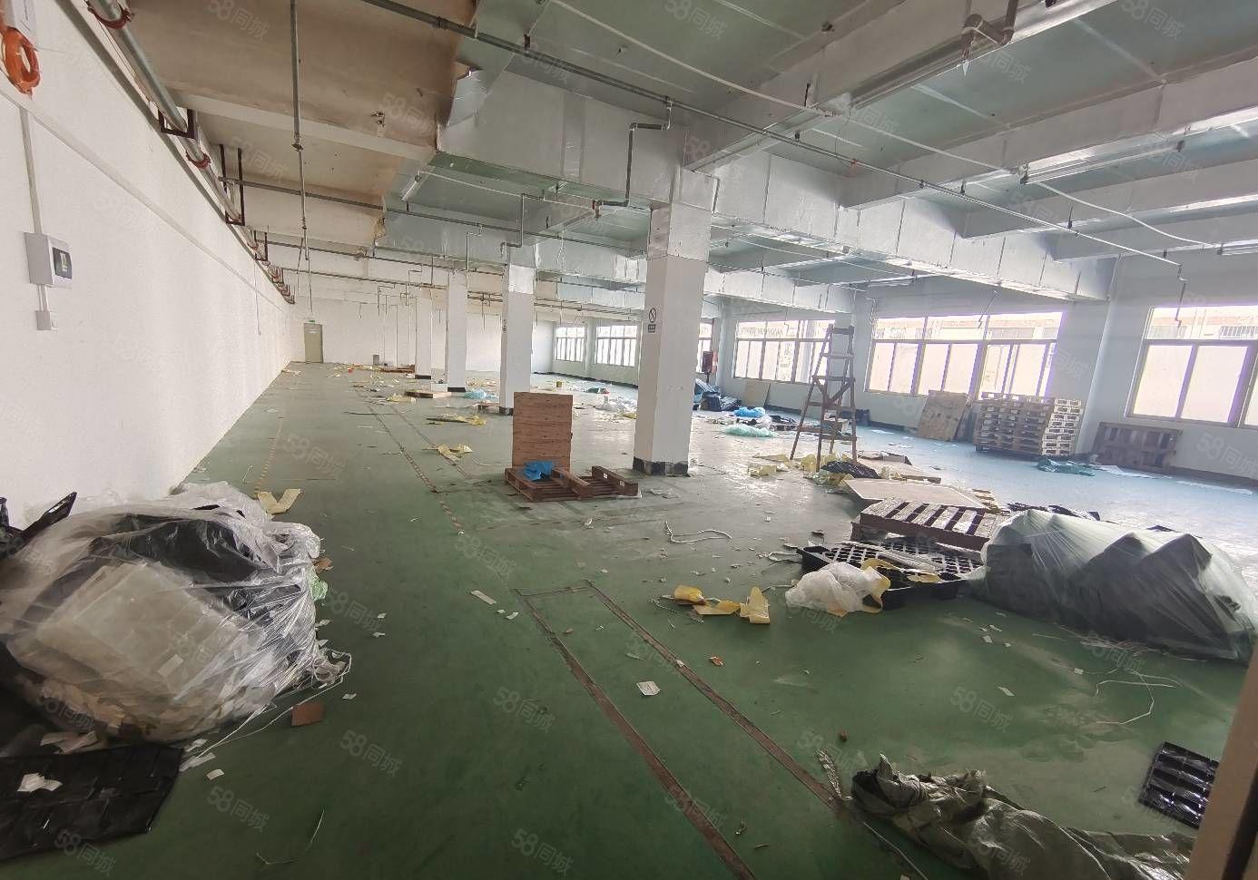 龙华大浪商业中心新出2楼1200平，可分租