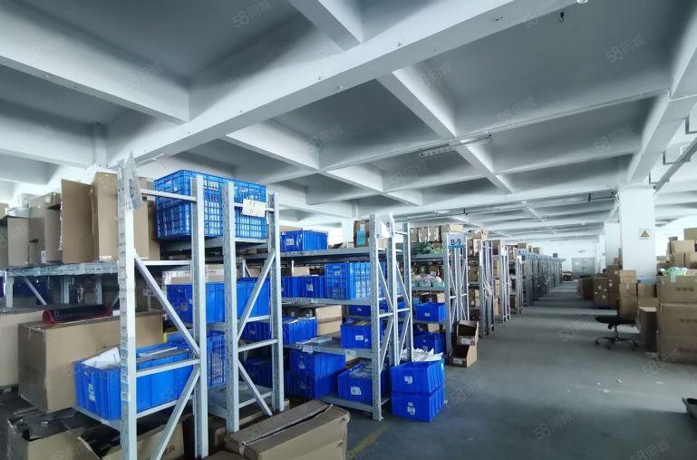 年前免租！观澜大道新出一楼1500平二楼2000平特价出租