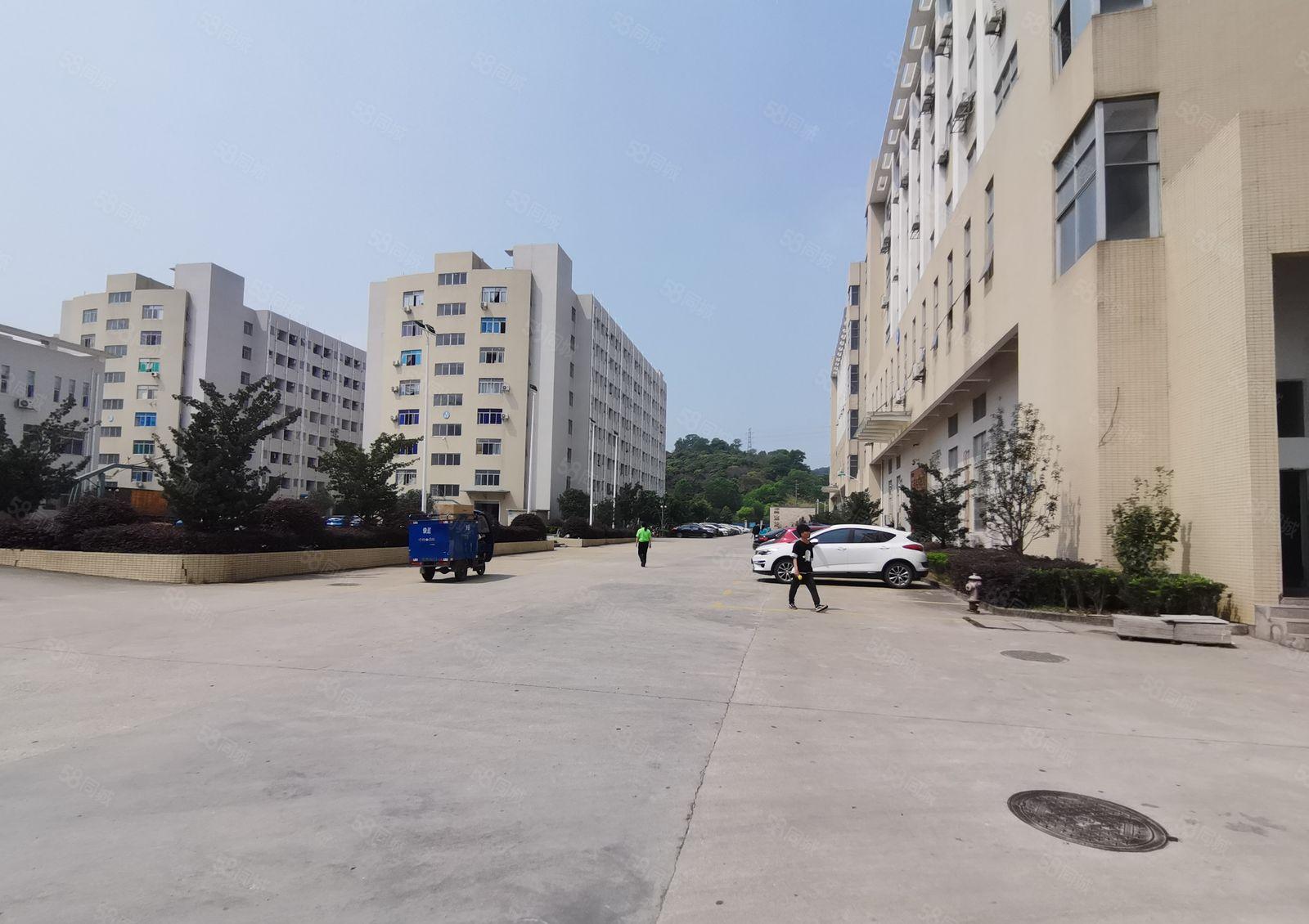 龙华大浪新出100平起分租独栋厂房仓库写字楼出租精装修地铁口