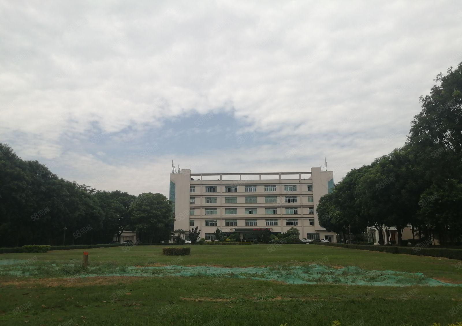 2000平观澜黎光工业区豪华装修花园式厂房两部电梯大气前台