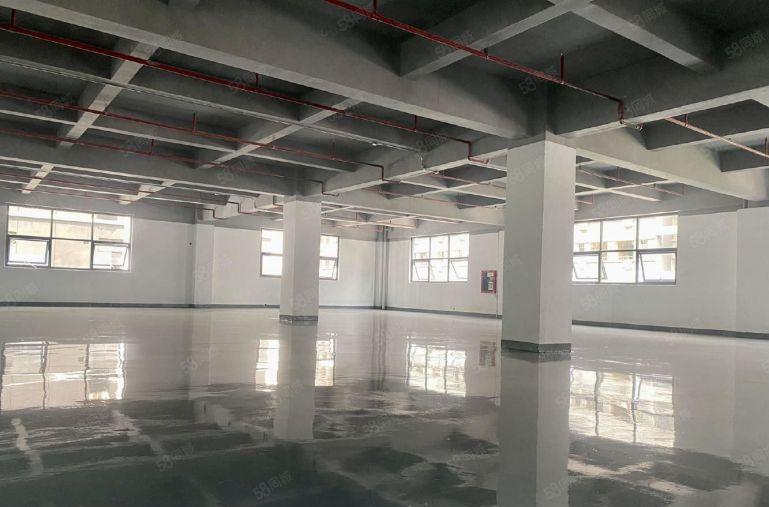 260平起租龙华民治地铁口精装修厂房物流电商电商园仓库出租