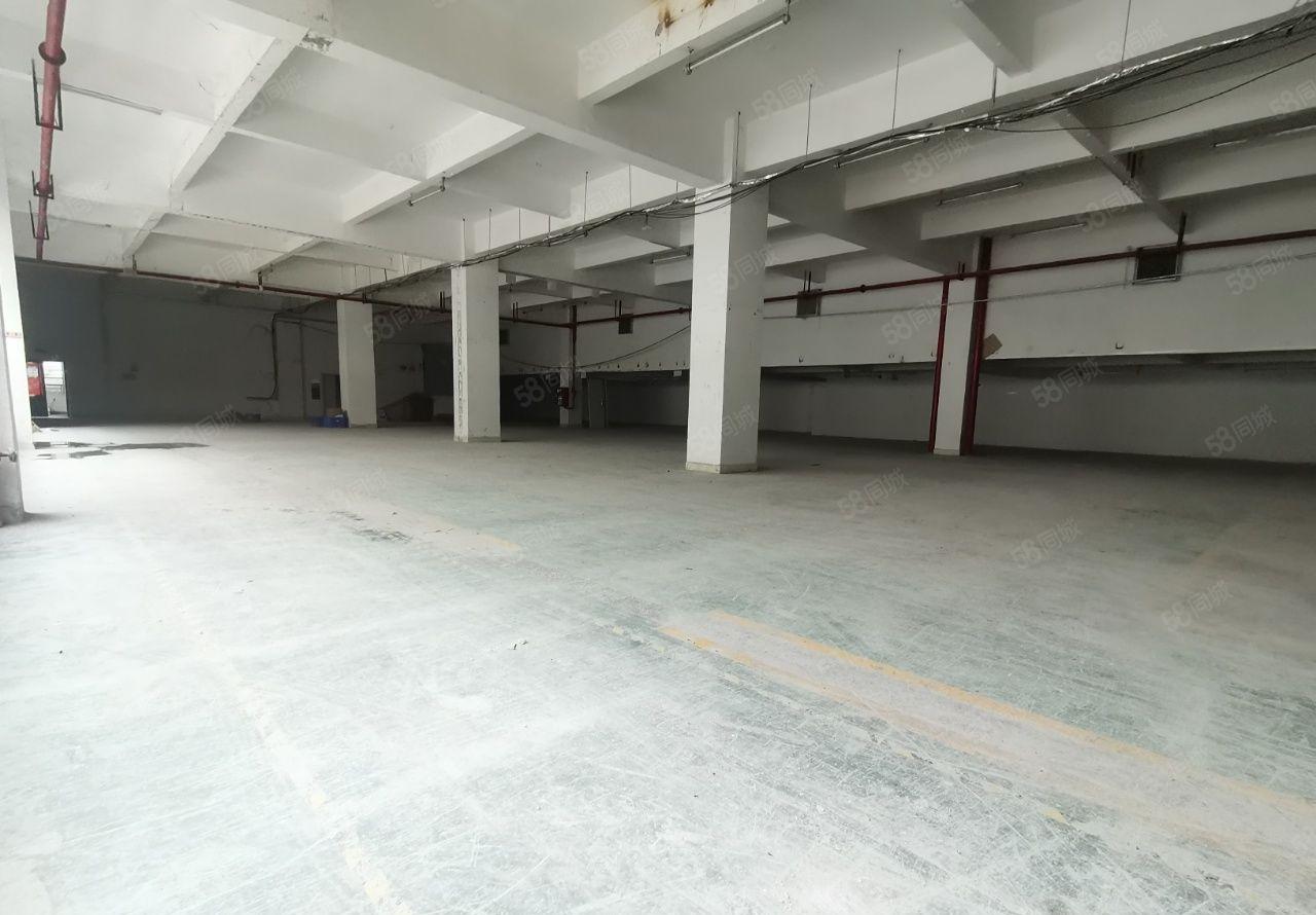 龙华油松原房东利金城工业园一楼1000平米标准红本厂房出租
