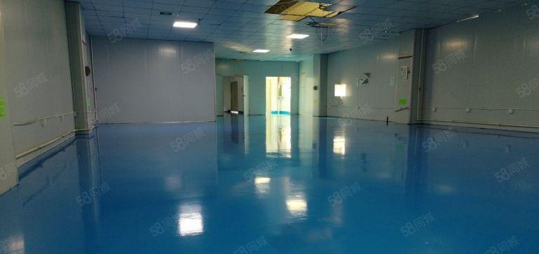 大浪布龙路780平带装修厂房低价出租