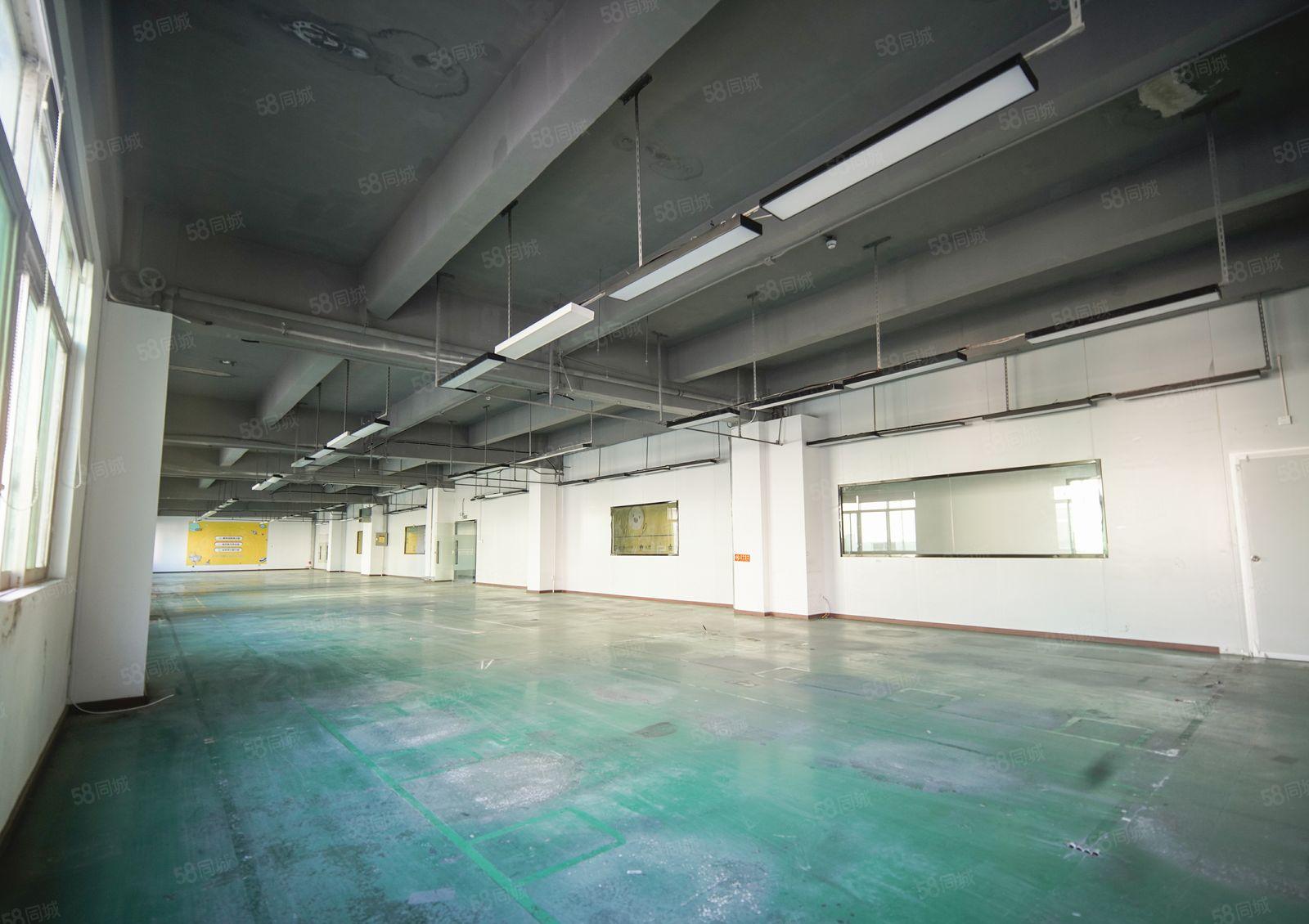 清湖高速出入口新空出2084平米精装修厂房仓业主直租,可分租