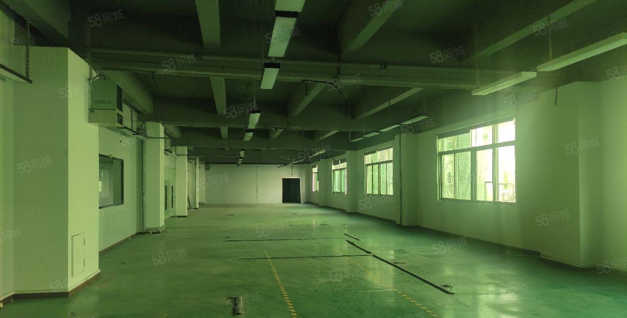 房源龙华清湖整层2000平米500起平米分租地坪漆带隔间