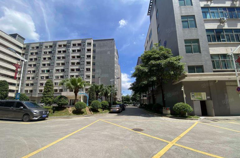 龙华大浪300平至5000平精装修厂房办公出租一楼仓库出租