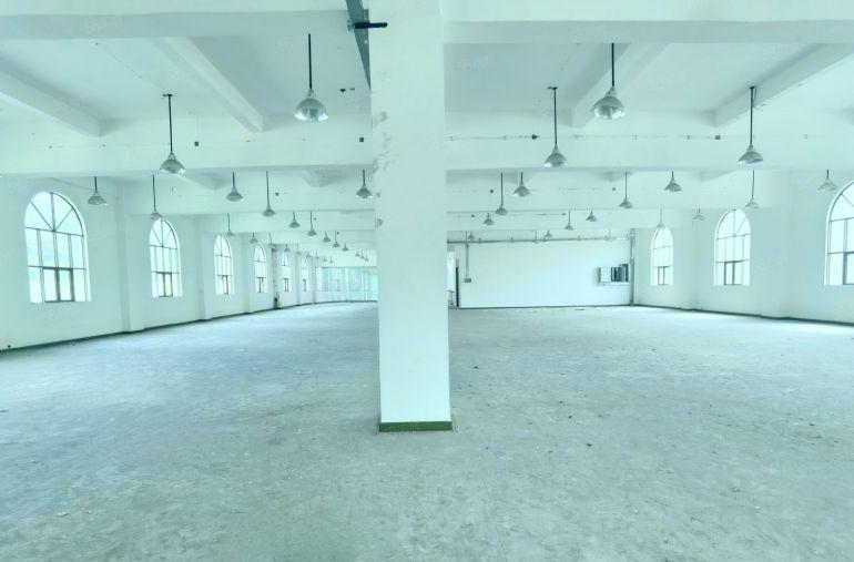 清溪物流仓库出租5万平有卸货平台消防喷淋，5吨货梯，双高速口