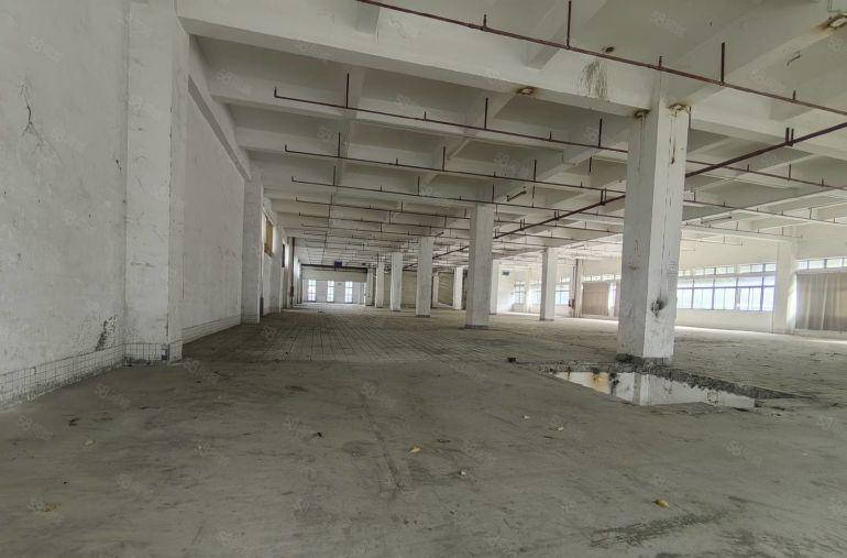 1000平起原房东红本厂房10000平出租临近地铁口高速口