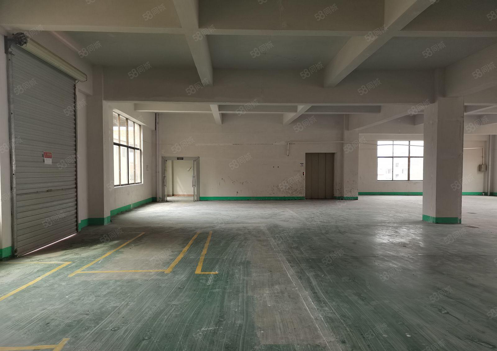 观澜原房东标准厂房楼上一整层1300平米招租！