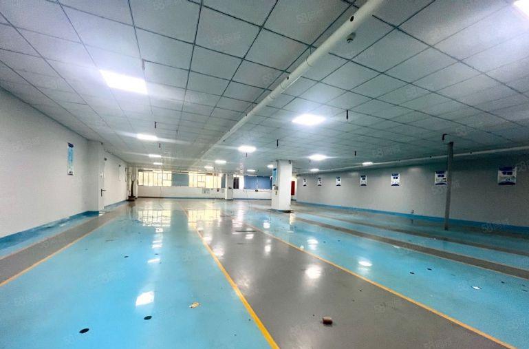 观澜工业园厂房仓库出租1900平电商电子食品注塑大小可分租