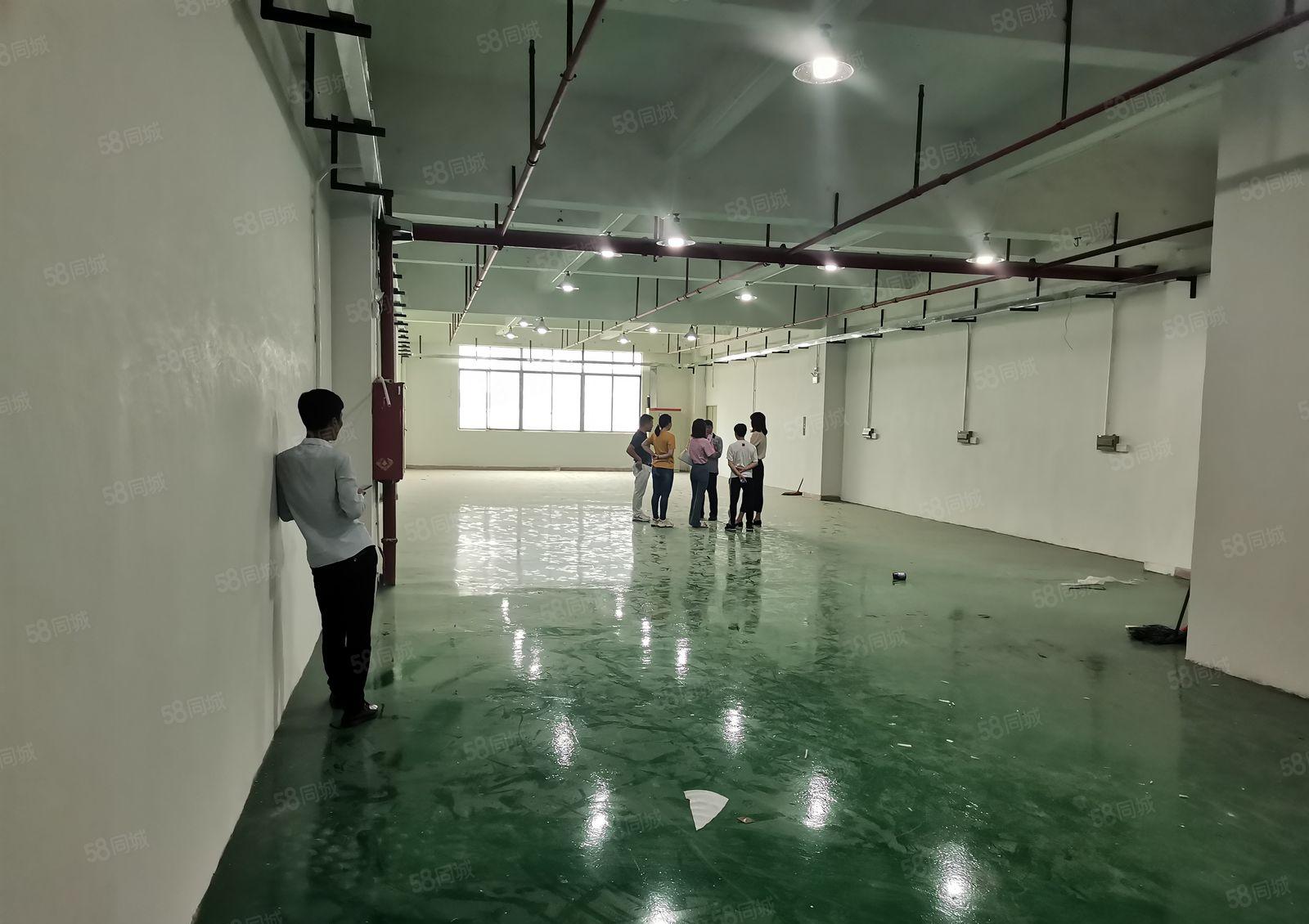 观澜新田原房东楼上400平精装修原房东带红本水电齐全厂房出租