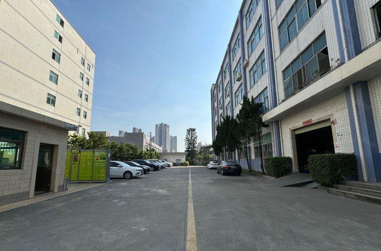 龙华一楼厂房出租200平起带精装电商办公室一楼仓库分租
