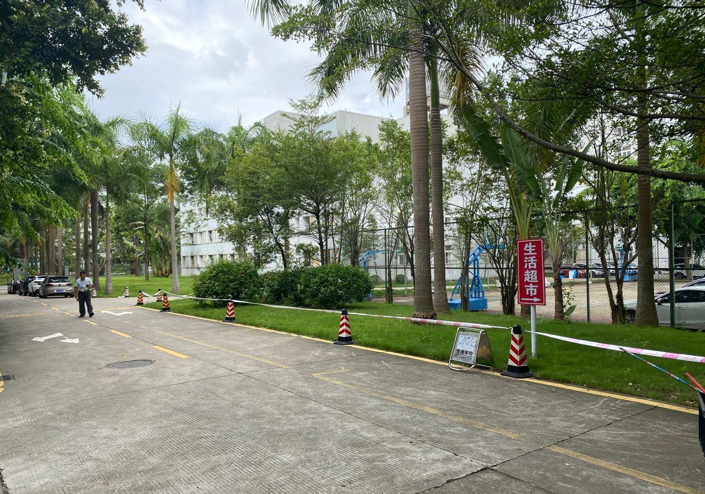 龙华大浪工业园2万平厂房出租500平起分租服装有补贴原房.