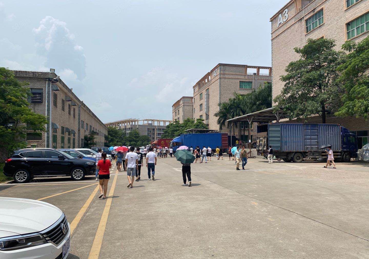 龙华清湖工业园3万平厂房出租500平起可分组原房东可办环.