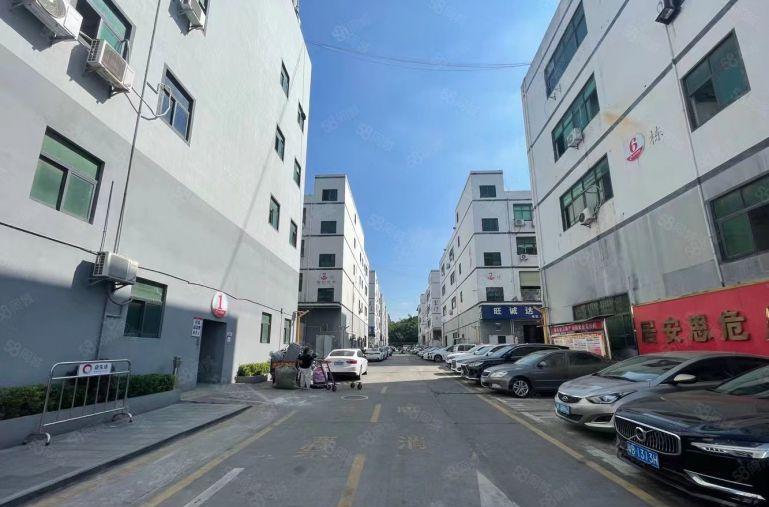 龙华大浪350平现成装修无尘车间厂房出租