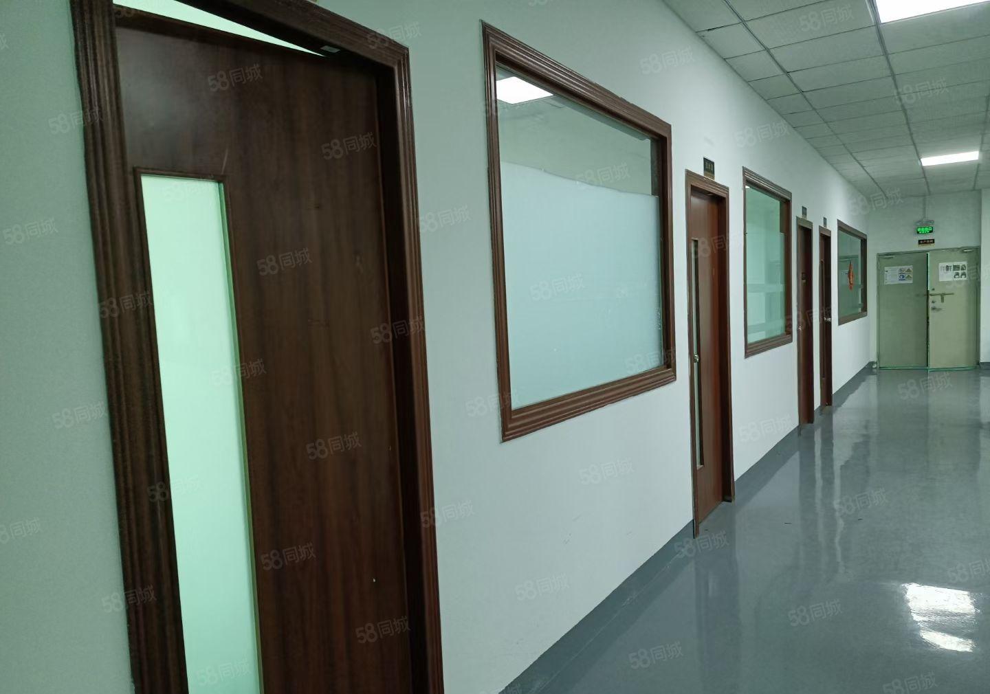 大浪特惠厂房20元每平带精装修