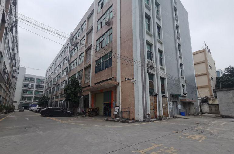 观澜桂花实际面积厂房出租楼上1000平米，19元平米水电到