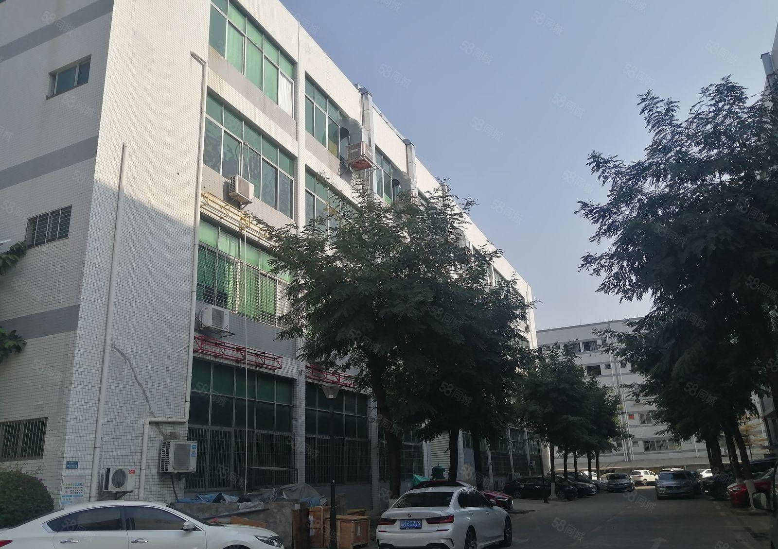 1000平观澜大富工业区原房东九成使用率，周边人流量多好招工