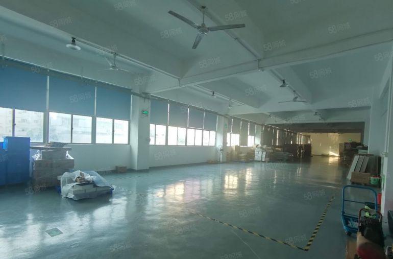 观澜章阁楼整层带装修办公加生产大小面积厂房出租 园区仓库出租