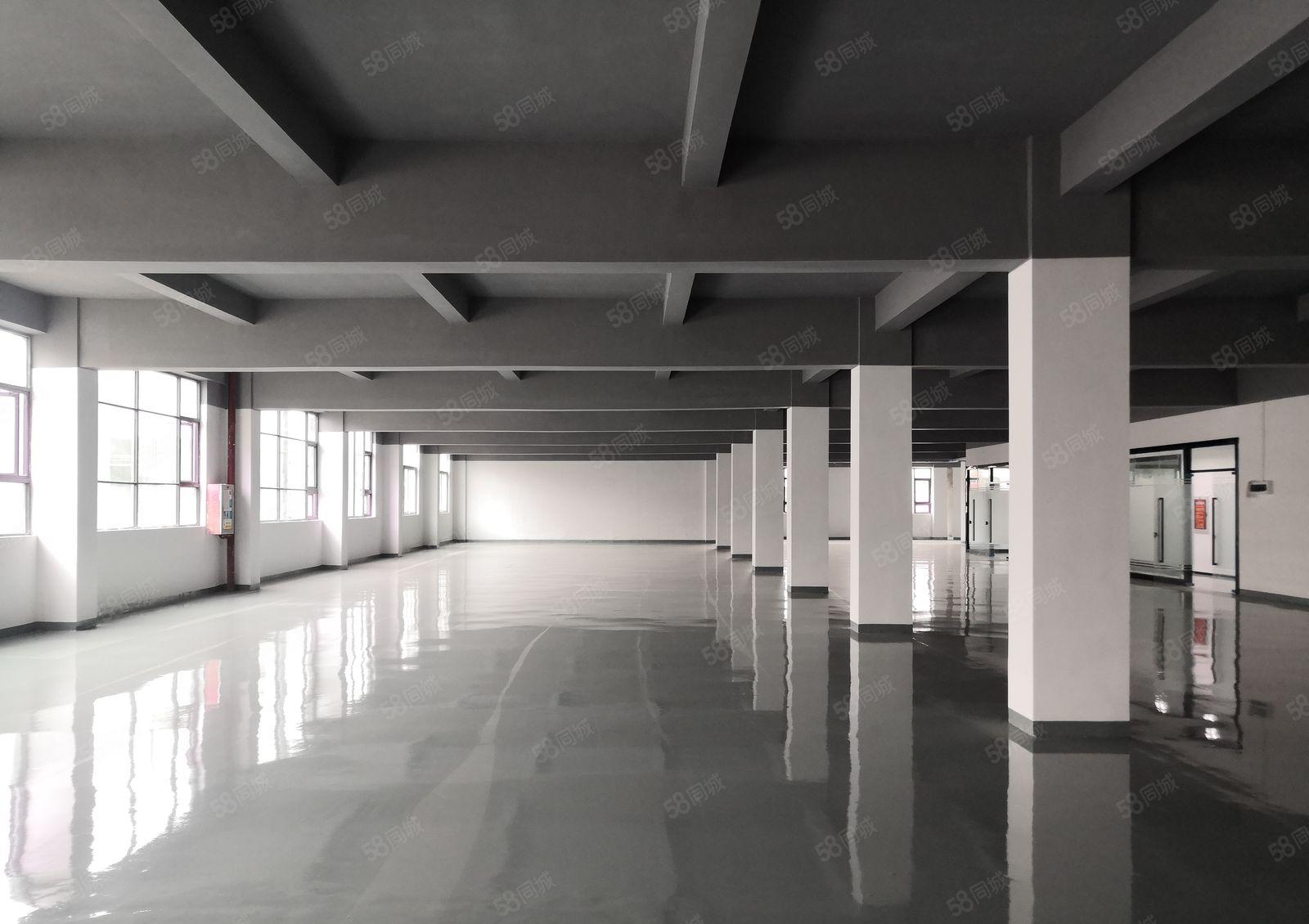 龙华龙胜地铁口工业园红本厂房40000平1000平分租可整栋