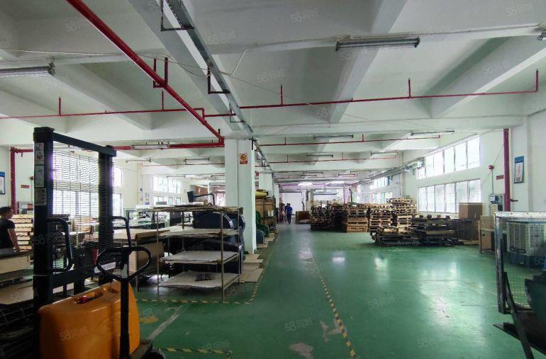 观澜茜坑原房东一楼厂房出租1500平方 实际面积出租价