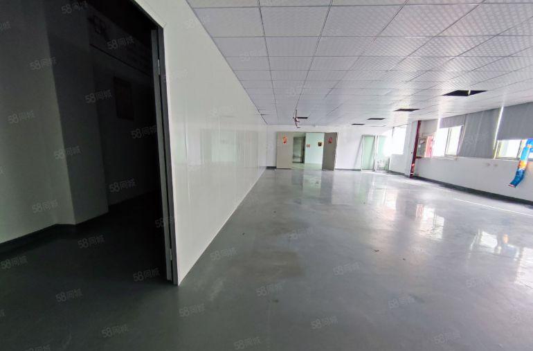 大浪带装修厂房出租700平方 使用率高