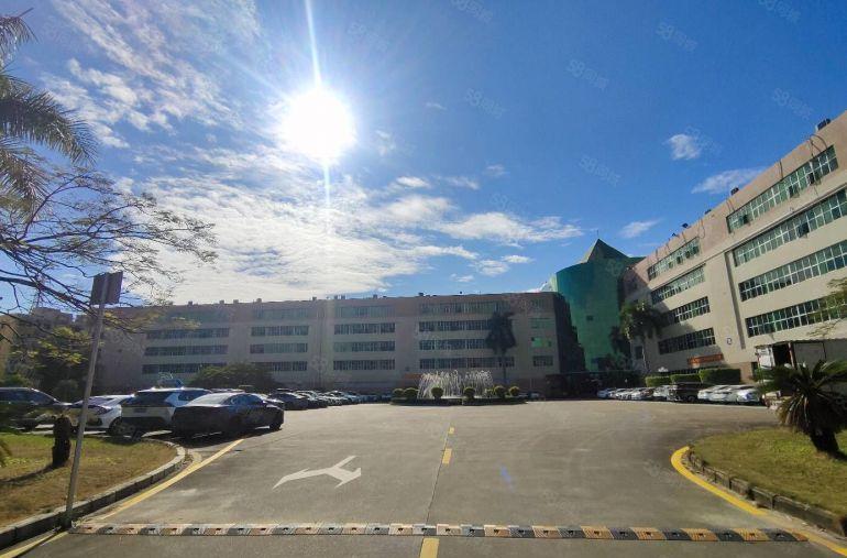 龙华大浪原房东1000厂房仓库出租 实用8成 200起