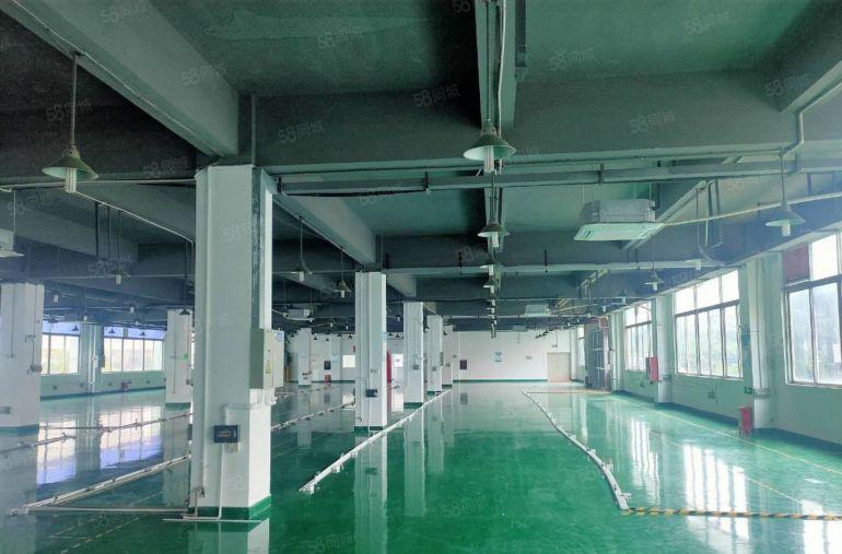 观澜汽车电子城旁工业园1600平 标准厂房可分租一楼仓库出租