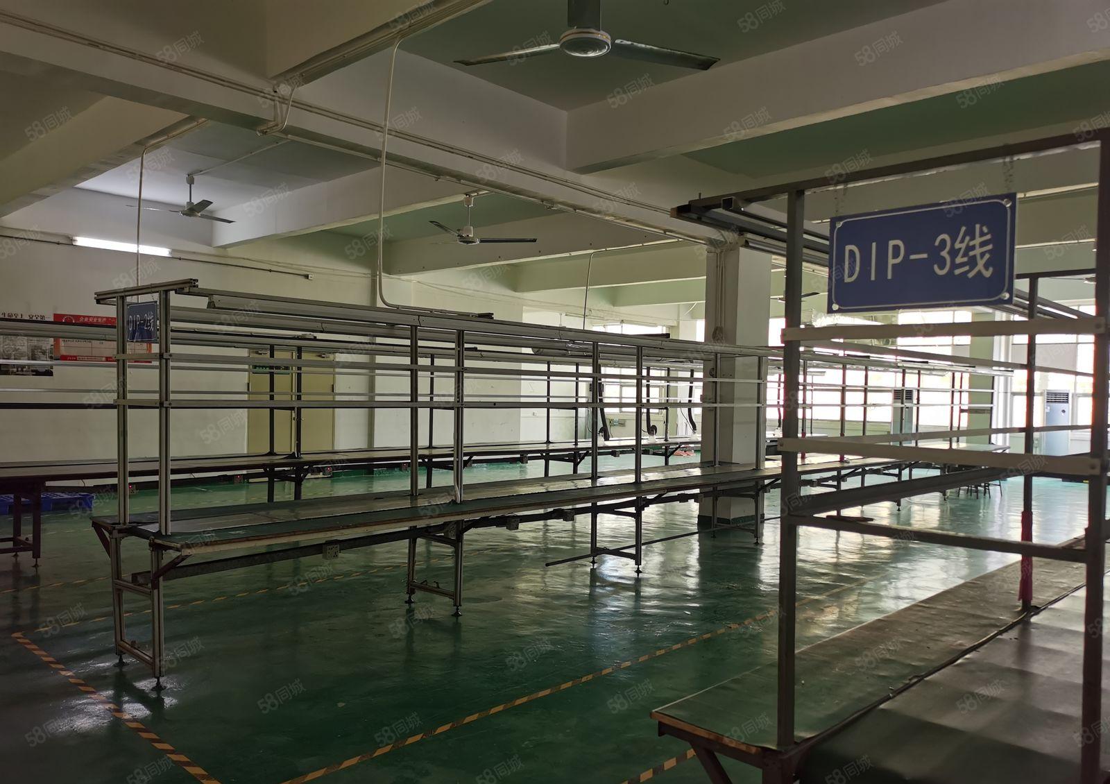 龙华区福城街道五楼500平方，带装修，水电齐全，厂房出租