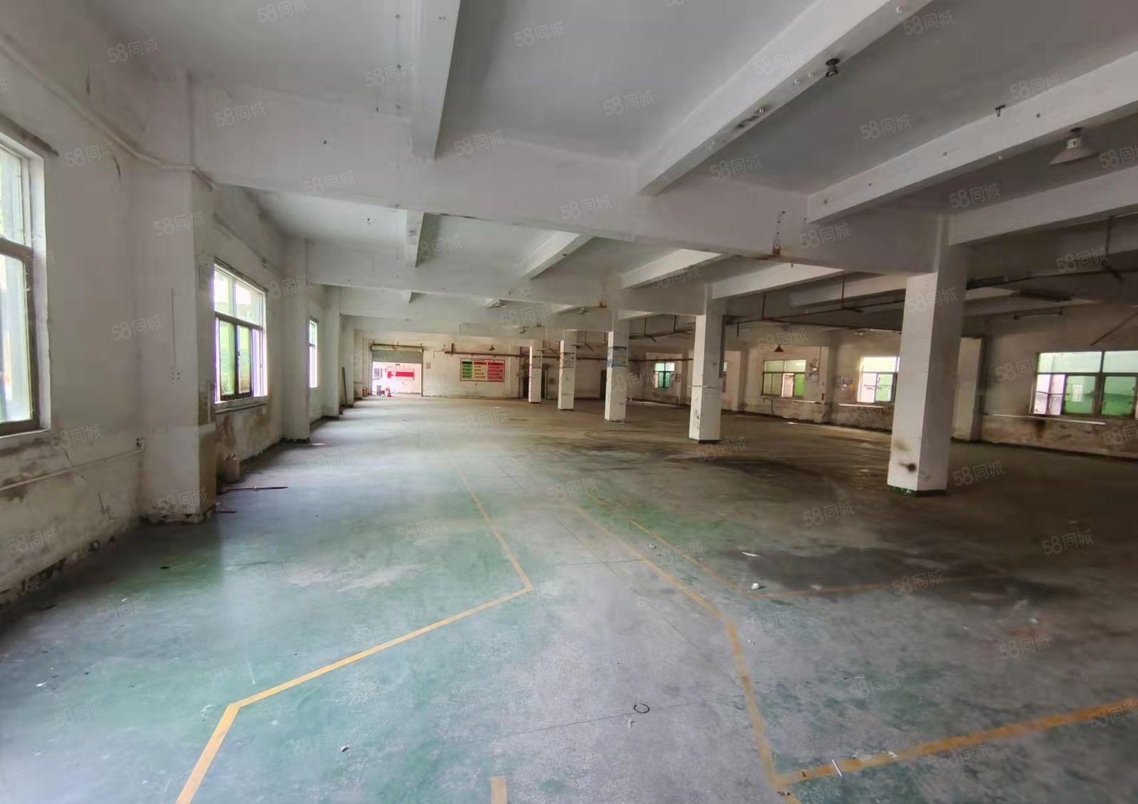 新盘招租观澜新田独院5000平方