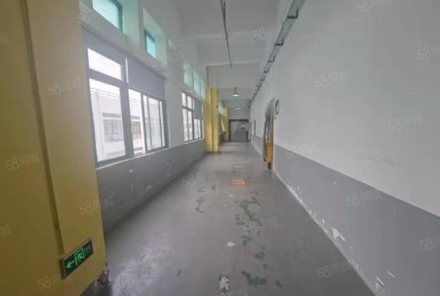 龙华原房东厂房出租1000平，大型园区，仓库，生产小加工