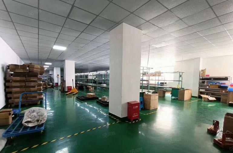 龙华大浪原房东500平方带精装修全新地坪漆红本厂房出租转租