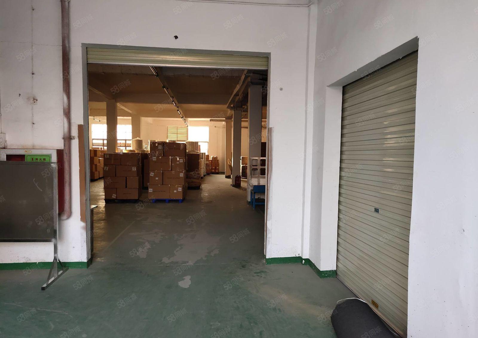 观澜牛湖原房东厂房出租一楼1430平方使用7成可进17.5米