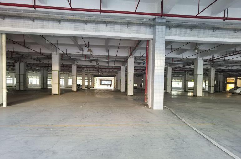 龙华地铁口红本独院厂房6500平方可分租带丙二类消防可办环评