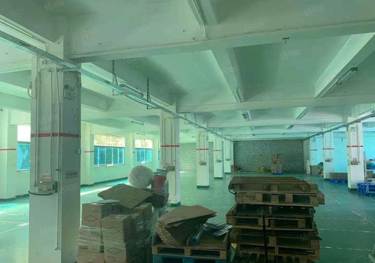 龙华大浪原房东楼上带红本1200平厂房出租，可分租