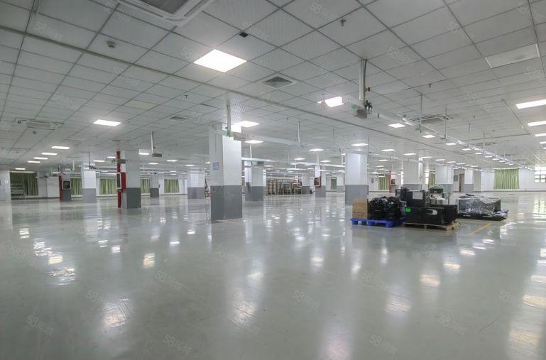 龙华地铁口无尘车间厂房出租1000平，可做电子加工生产仓储