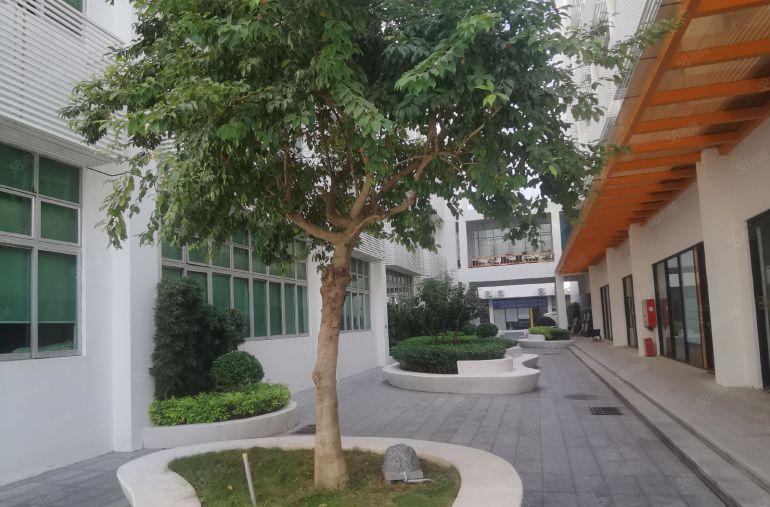 清湖500至2000平方厂房出租精装修可仓库物流办公红本产权