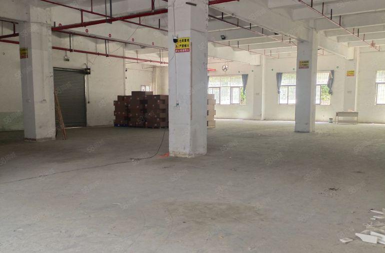 龙华大浪地铁口一楼1250平现成汽修厂房无转让费可分租500